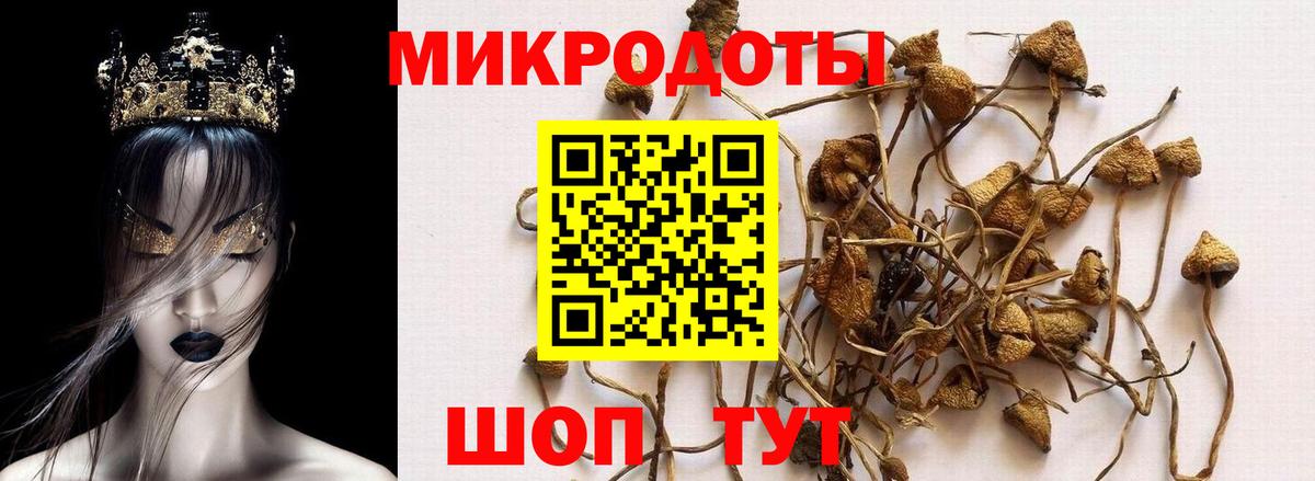 Тольятти  где можно купить наркотик  Вход с VPN  Галлюциногенные грибы MAGIC MUSHROOMS 