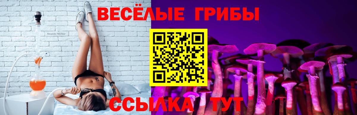 Псилоцибиновые грибы Magic Shrooms Тольятти